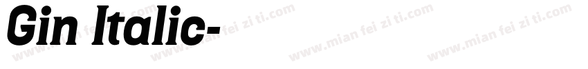 Gin Italic字体转换